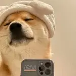 我新建了一个网盘