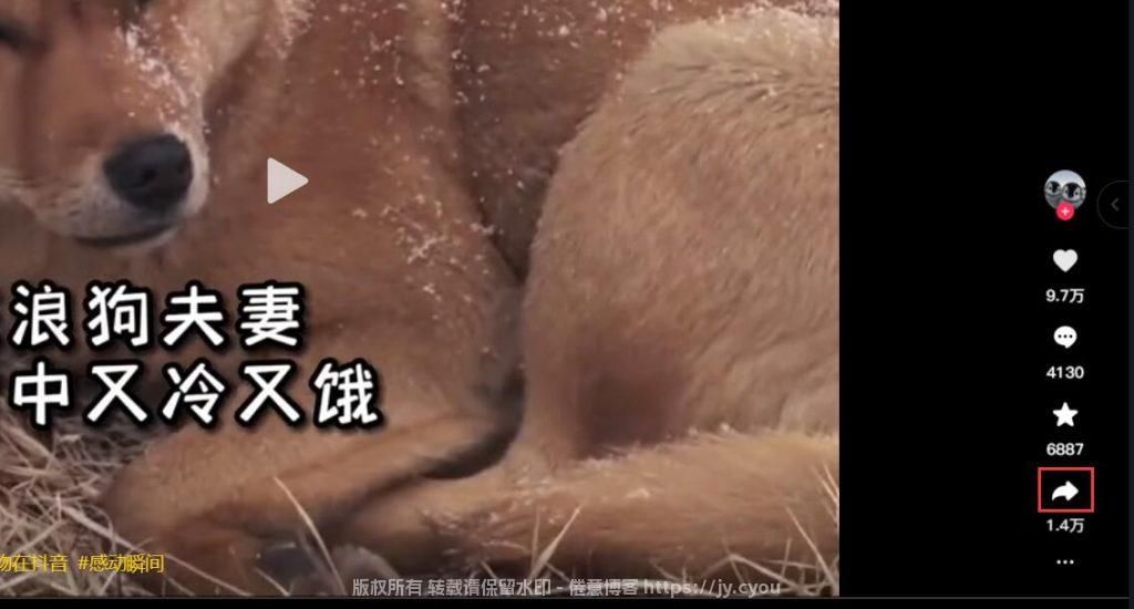 图片[3]-短视频无水印保存高清视频！喜欢的短视频再也不用愁啦-倦意博客